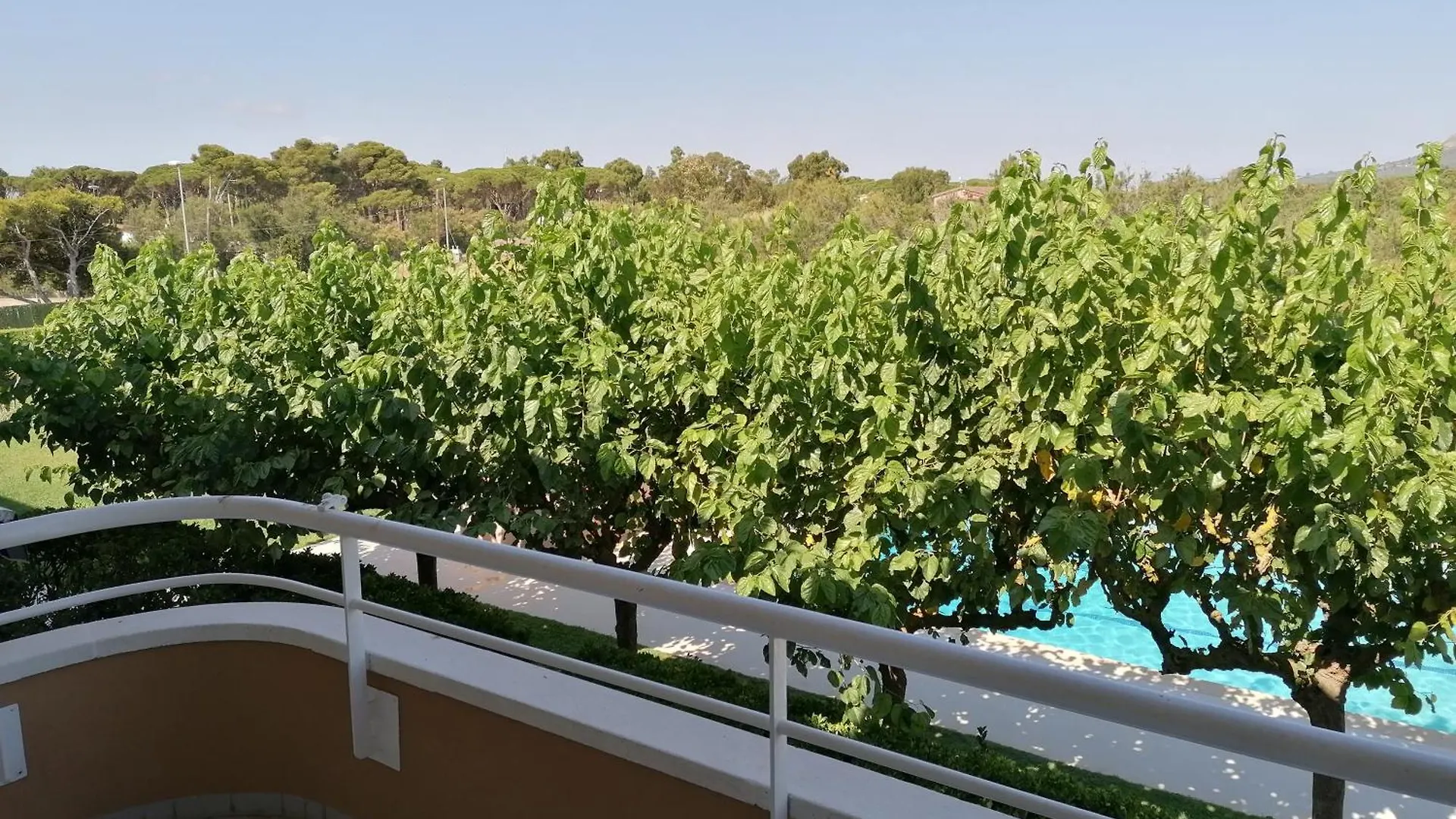 Apartment Apartamentos Dalia L'Estartit Spain